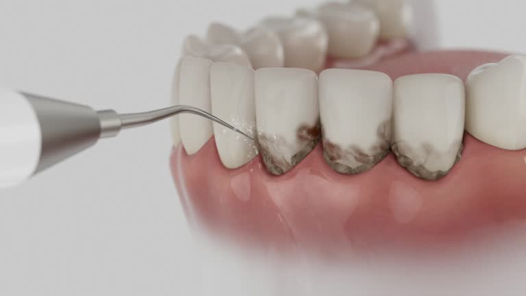 Reliable Dental contractor in Panthersville, GA by Dentist Open Now